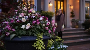 Un simple choix de plante, et j’ai transformé mon entrée en la plus admirée du quartier